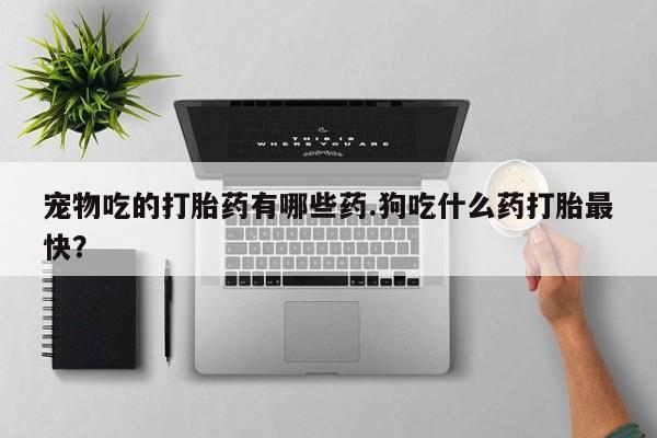 网上米非司酮片米索前列醇在线下单购买宠物吃的打胎药有哪些药.狗吃什么药打胎最快？