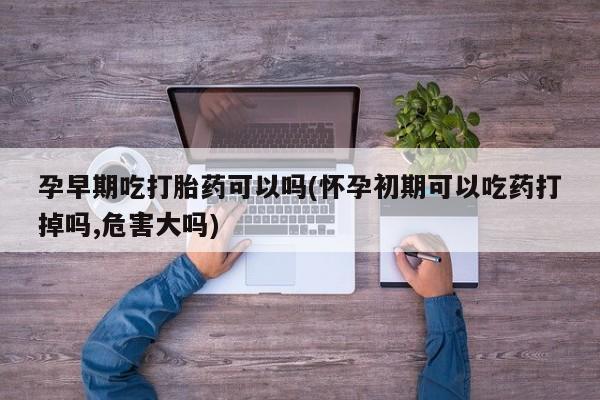 网上米非司酮片米索前列醇在线下单购买孕早期吃打胎药可以吗(怀孕初期可以吃药打掉吗,危害大吗)