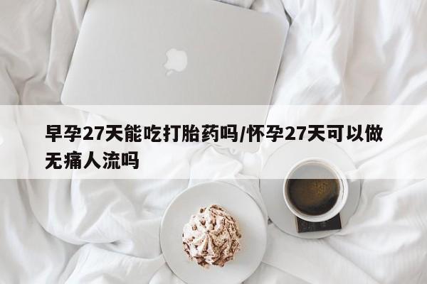 网上米非司酮片米索前列醇在线下单购买早孕27天能吃打胎药吗/怀孕27天可以做无痛人流吗